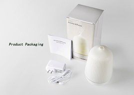 GH Brothers Germ Free Cool Mist Humidifier, White N7