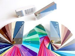 Color Swatch Fan Cool Summer (Or Summer-winter) 35 Colors