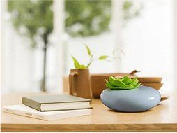 Paragraph Mute Humidification Aromatherapy Home Decoration With Three Ceramic Humidifier N4