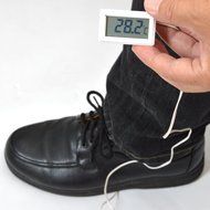 Thanko USB air circulator for shoe 1unit USBSHS86