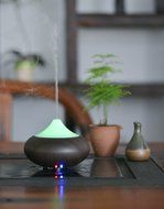 Cool Mist Humidifier Filter Free Ultrasonic Aroma Essential Oil Diffuser 100ml (Khaki) N17