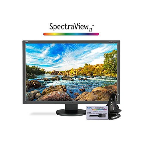 NEC EA EA305WMI-BK 29.8" Screen LED-Lit Monitor