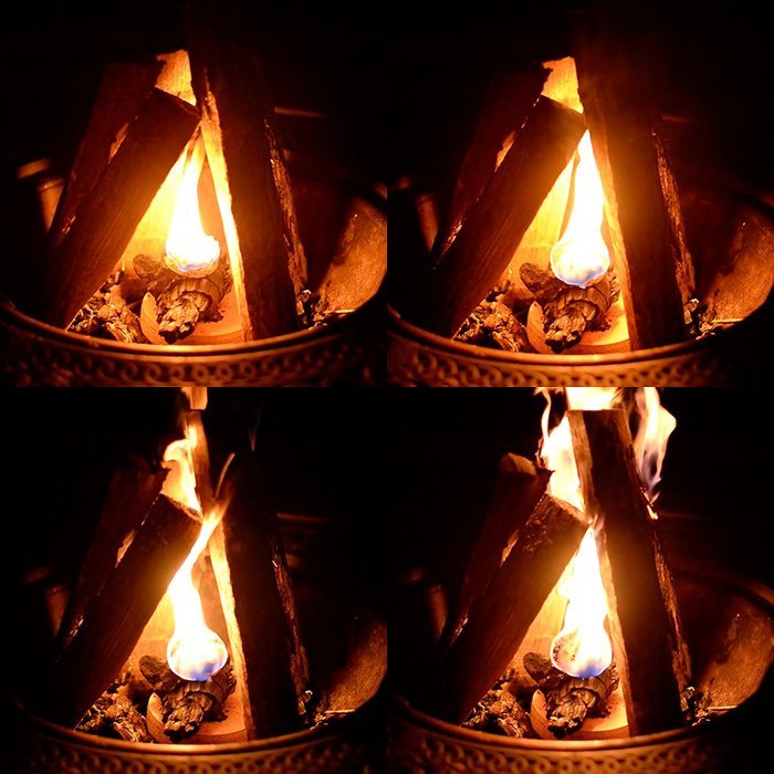 Starter King Firestarters - 6 Pack