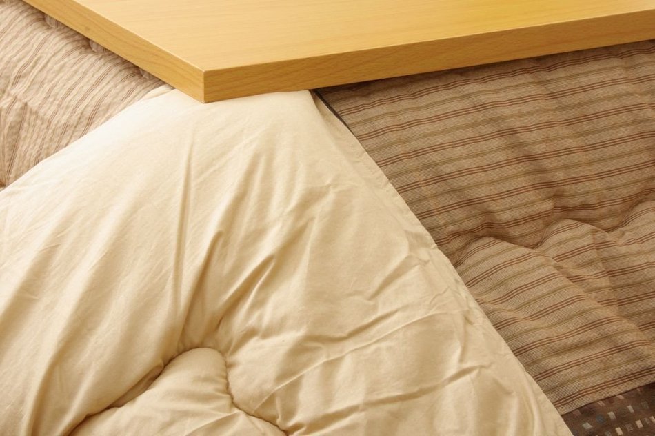 Kotatsu thick blanket "Yukari" Brown 205 &times; 245cm N4