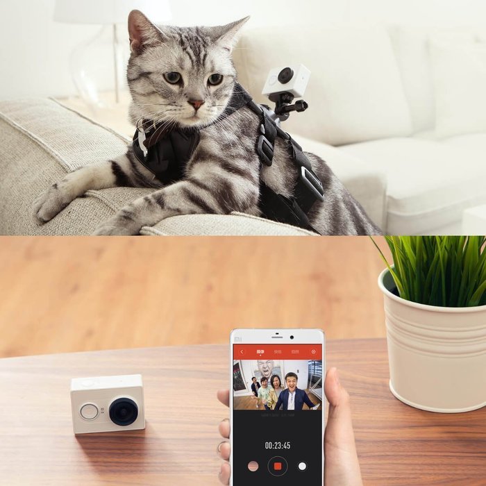 YI Action Camera with Selfie Stick & Bluetooth Remote (US Edition) Lime Green N14