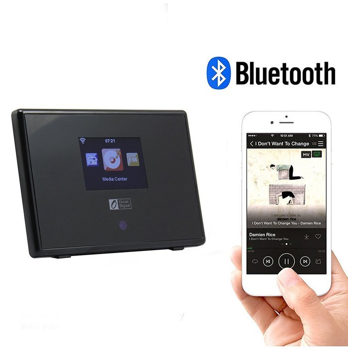 Ocean Digital Internet radio IRT01C WiFi WLAN Wireless Adapter Tuner Receiver with Bluetooth Connection Desktop... N2