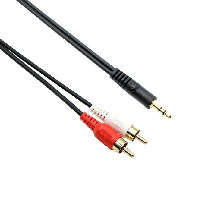 Pasow 3.5mm Stereo Male to 2RCA Male (Right and Left) RCA Audio Cable (30 Feet) N12