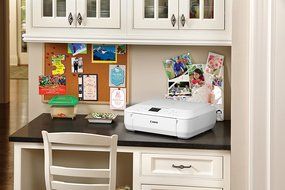 Canon PIXMA MG5520 Wireless All-In-One Color Photo Printer with Scanner, Copier and Auto Duplex Printing, White... N5
