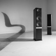 Raumfeld Stereo L Wireless Streaming Floorstanding Speaker (Pair, White) N4