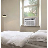LG 6,000 BTU 115V Window-Mounted AIR Conditioner with Remote Control