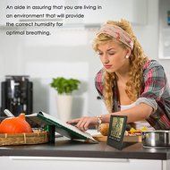 Laiyin Indoor Digital Humidity Meter Hygrometer Thermometer with Large LCD Display Temperature Alarm Clock N2