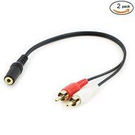 Pasow 3.5mm Stereo Male to 2RCA Male (Right and Left) RCA Audio Cable (30 Feet) N23