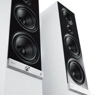 Raumfeld Stereo L Wireless Streaming Floorstanding Speaker (Pair, White) N5
