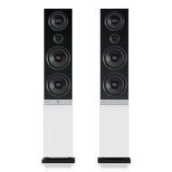 Raumfeld Stereo L Wireless Streaming Floorstanding Speaker (Pair, White) N9