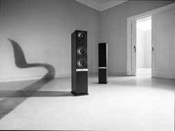 Raumfeld Stereo L Wireless Streaming Floorstanding Speaker (Pair, White) N13