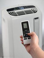 DeLonghi America PACAN120EW 12000BTU Whisper Cool Portable Air Conditioner