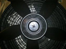 Lasko Cyclone 18 in. Adjustable Pedestal Fan N2