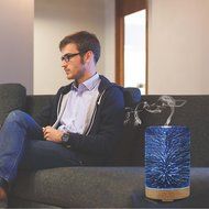 SUN-E Aromatherapy Oil Diffuser,100ML Essential Oil Ultrasonic Cool Mist Humidifier Waterless Auto Shut-off Perfect... N14