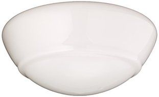 Hunter Fan Company Hunter Fan Company 22565 Contemporary Schoolhouse Globe by Hunter Fan Company