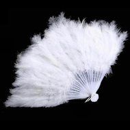 Beauty Clubs Wedding Hand Fancy Dress Costume Dance Feather Fan (Black)