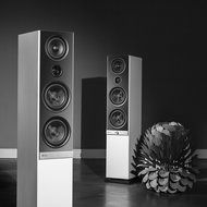 Raumfeld Stereo L Wireless Streaming Floorstanding Speaker (Pair, White) N16