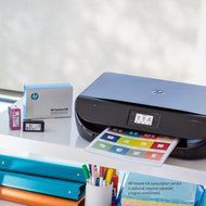 HP Envy 4520 Wireless All-in-One Photo Printer with Mobile Printing, Instant Ink ready (F0V69A) N8