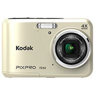 Kodak compact digital camera FZ42 (Silver)