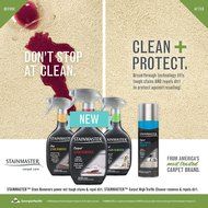 STAINMASTER Carpet Stain Remover Cleaner, 22 Ounce