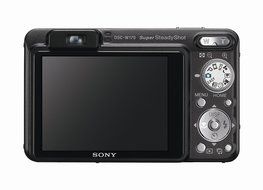 Sony Cybershot DSCW170/B 10.1MP Digital Camera with 5x Optical Zoom with Super Steady Shot (Black) N2