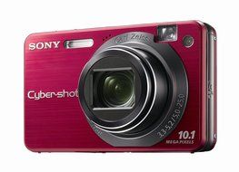 Sony Cybershot DSCW170/B 10.1MP Digital Camera with 5x Optical Zoom with Super Steady Shot (Black) N3