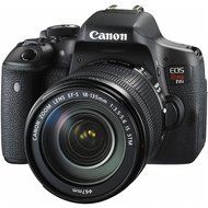 Canon EOS Rebel T6i Wi-Fi Digital SLR Camera &amp; EF-S 18-135mm IS &amp; 55-250mm IS STM Lens with 32GB Card + Case +... N4