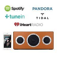 [Apple MFI Certified] GGMM M4 Leather Wireless Wi-Fi/Bluetooth/Multi-Room Play Speaker w/Rechargeable Battery... N15