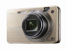 Sony Cybershot DSCW150/B 8.1MP Digital Camera with 5x Optical Zoom with Super Steady Shot (Black) N10