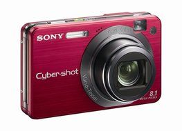 Sony Cybershot DSCW150/B 8.1MP Digital Camera with 5x Optical Zoom with Super Steady Shot (Black) N12