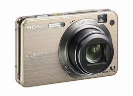 Sony Cybershot DSCW150/B 8.1MP Digital Camera with 5x Optical Zoom with Super Steady Shot (Black) N14
