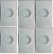 6 Genuine Style After Filters for Electrolux