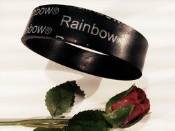 Rainbow Nozzle Thin Vacuum Belts D3, D4, SE, PE, E-Series E2, PN2 2 for 4.80