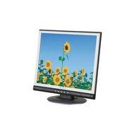 Envision 19-Inch LCD Monitor (H190L)