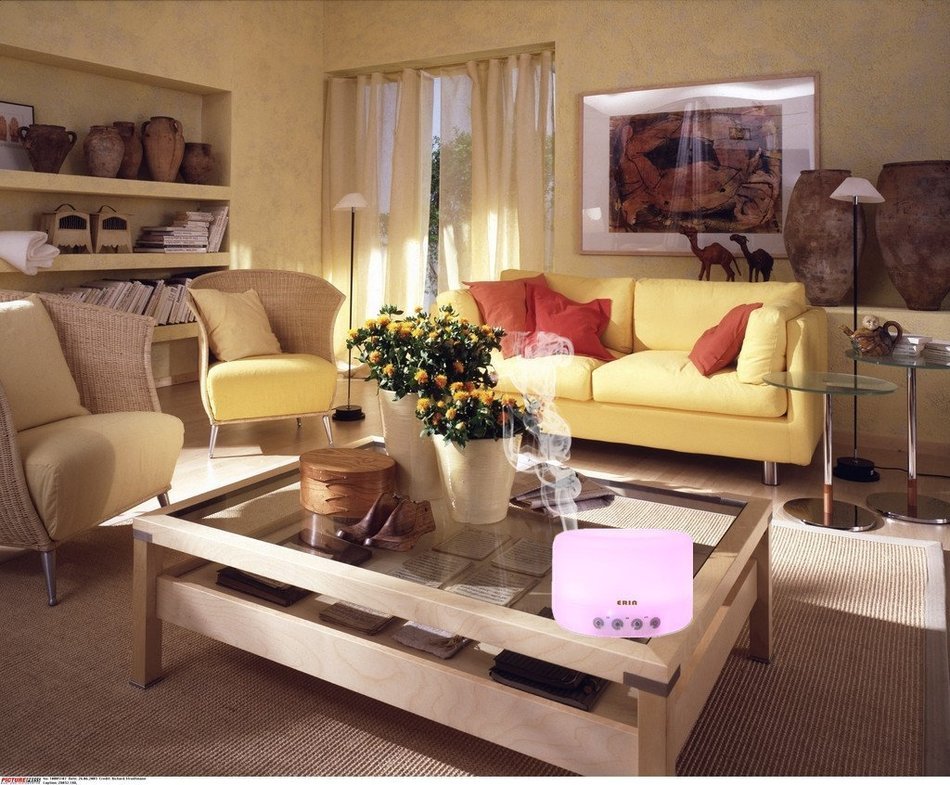Ultrasonic Aromatherapy Essential oil Diffuser Touch Control Cool Mist Air Humidifier 7 Color LED lights and Auto... N2