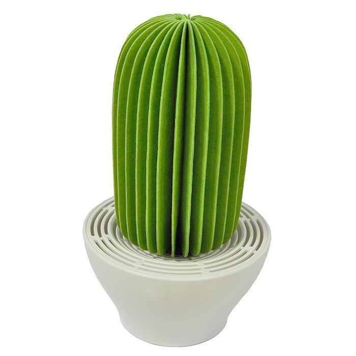 HSI Cactus Non-Electric Personal Humidifier in Green, Piozio