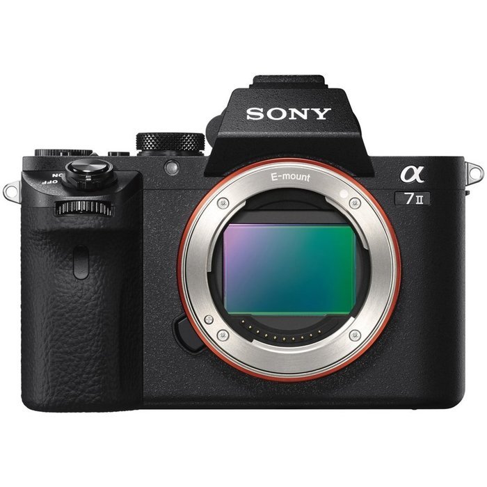 Sony Alpha A7 II Digital Camera Body with FE 24-240mm OSS Lens + 64GB Card + Battery + Charger + Case + Flash... N3