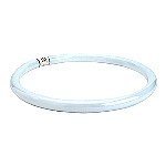 Fc16t10/Cw 40w 16 in. Circline by FEIT ELECTRIC CO.
