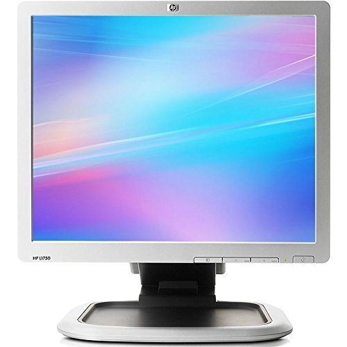 HP L1950 19" Screen 1920 x 1080 Resolution LCD Flat Panel Monitor N3