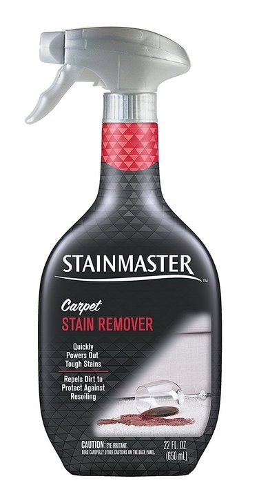 STAINMASTER Carpet Stain Remover Cleaner, 22 Ounce N2