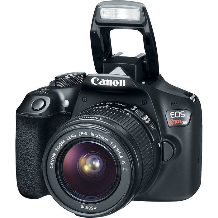 Canon EOS Rebel T6 Digital SLR Camera Kit with EF-S 18-55mm f/3.5-5.6 IS II Lens with Corel PaintShop Pro X8 Ultimate N2