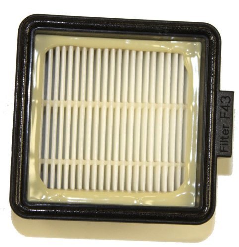 1 X Dirt Devil/Royal F43 Filter
