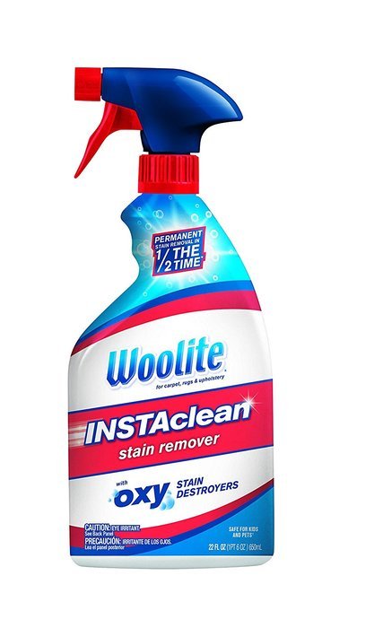 Woolite INSTAclean Stain Remover, 1742