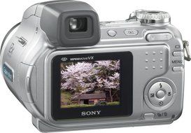 Sony Cybershot DSC-H2 6MP Digital Camera with 12x Optical Image Stabilization Zoom (OLD MODEL) N12