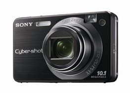 Sony Cybershot DSCW170/B 10.1MP Digital Camera with 5x Optical Zoom with Super Steady Shot (Black) N5