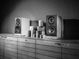 Raumfeld Stereo M Wireless Streaming Bookshelf Speakers (Pair, White) N15